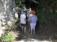 Foto 232